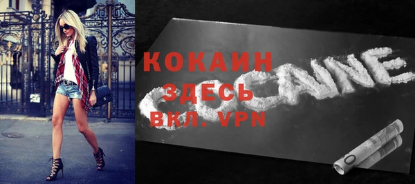 прущие грибы Балабаново