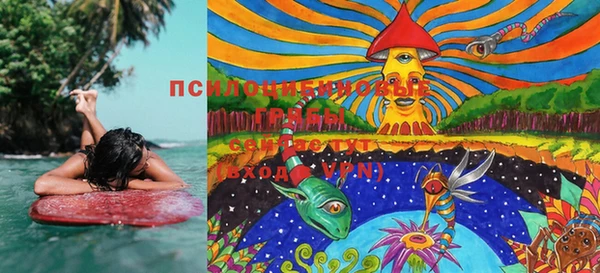 PSILOCYBIN Баксан