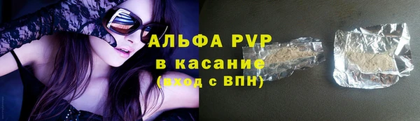 прущие грибы Балабаново