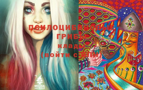 PSILOCYBIN Баксан