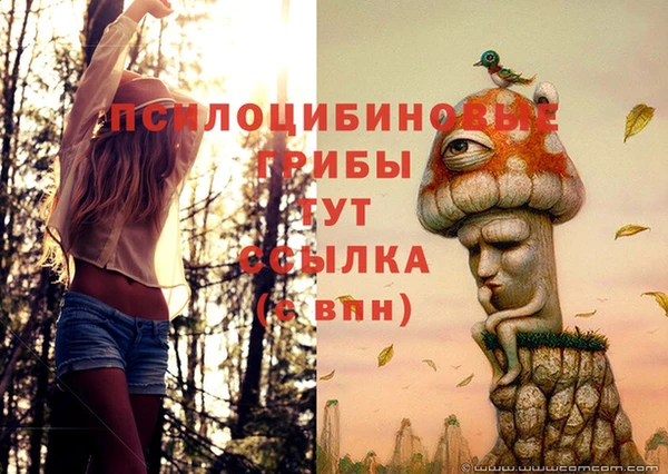 прущие грибы Балабаново