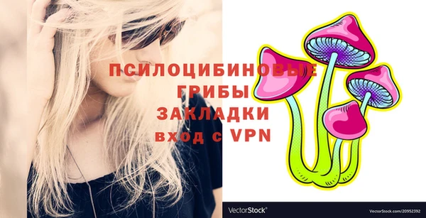 PSILOCYBIN Баксан