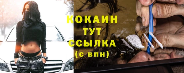 прущие грибы Балабаново