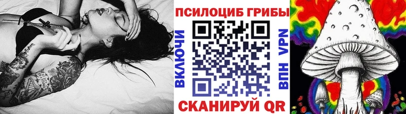 Псилоцибиновые грибы Psilocybine cubensis  даркнет сайт  shop Telegram  Богородицк 