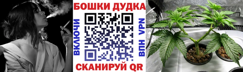 купить закладку  Богородицк  Каннабис ГИДРОПОН 